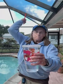 Poster for Holiday video from Rankin’s Food Reviews