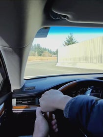 Poster for Roast video from povtraffic