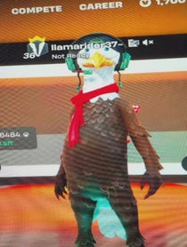 Poster for Birthday video from llama rider