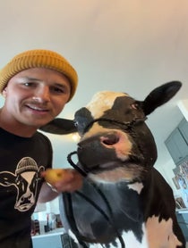 Poster for Pep Talk video from Elias and Bruce the Cow