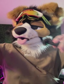 Poster for Birthday video from NORFDOG