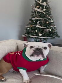 Poster for Holiday video from Pancake 🥞