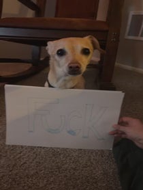 Poster for Other video from Alex