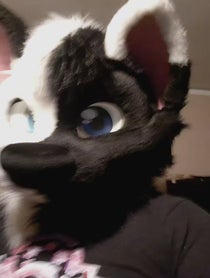 Poster for Birthday video from SOLIS THE WOLF