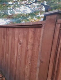 Poster for Pep Talk video from Johnjeet Singh