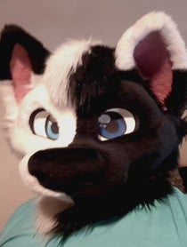 Poster for Birthday video from SOLIS THE WOLF