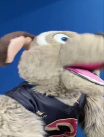 Poster for Other video from Moondog Cavs Mascot Puppet