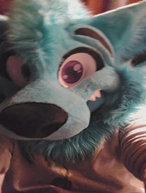 Poster for Birthday video from Brightwater Wolf