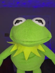 Poster for Birthday video from Kermit Impressionist