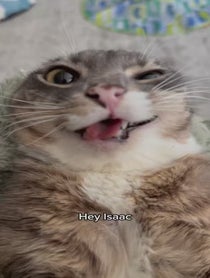 Poster for Birthday video from Rigby Cat
