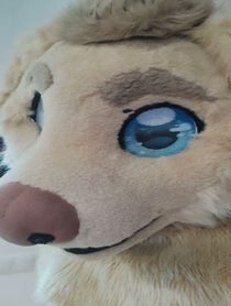 Poster for Roast video from Rex the Furry Dog