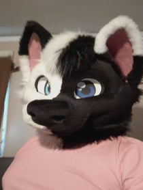 Poster for Birthday video from SOLIS THE WOLF
