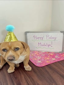 Poster for Birthday video from Cashew