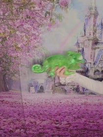 Poster for Birthday video from Molly Flora