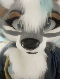 Poster for Birthday video from Zephyri Wolf