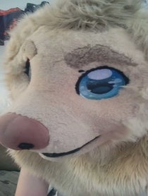 Poster for Birthday video from Rex the Furry Dog