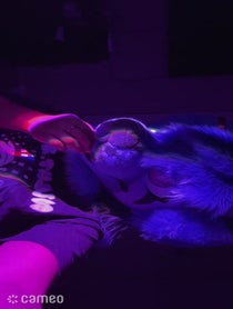 Poster for Intro video video from BlueJay