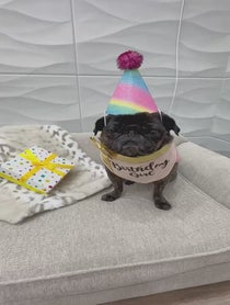 Poster for Birthday video from ClemJuno