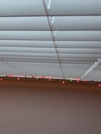 Poster for Roast video from Gregory James Cohan