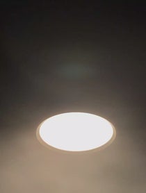 Poster for Holiday video from Christopher Escalante