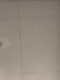 Poster for Birthday video from 66Samus