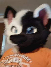 Poster for Birthday video from SOLIS THE WOLF