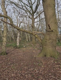 Poster for Birthday video from Jack Sparrow Authentic Impersonator