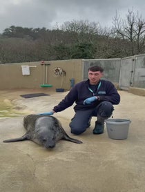 Poster for Other video from The Cornish Seal Sanctuary