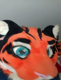 Poster for Other video from Jack Tiger