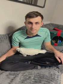 Poster for Valentine's Day video from Charlie Junior The Cockatoo