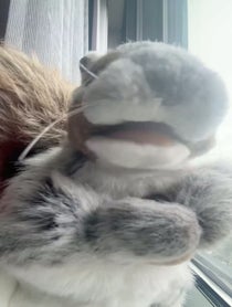 Poster for Birthday video from Nutella the Squirrel