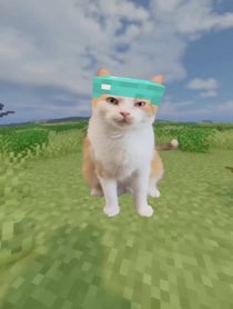Poster for Valentine's Day video from chillcatguy