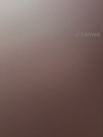 Poster for Intro video video from bun
