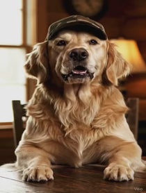 Poster for Other video from The Redneck Retriever