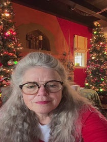 Poster for Holiday video from TRACY CONNOR / Check out Girl in Home Alone