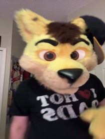 Poster for Birthday video from Daxter Dingo