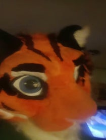 Poster for Roast video from Jack Tiger