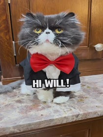 Poster for Pep Talk video from Walter Bishop the Cat