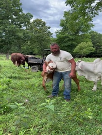 Poster for Pep Talk video from Rufus The Bull