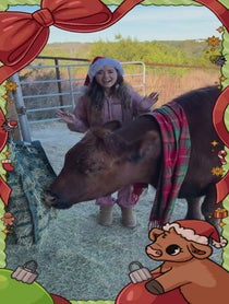 Poster for Holiday video from Alveus Sanctuary