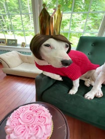 Poster for Birthday video from Pookie + Karen Bark