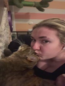 Poster for Roast video from Sydney howdyhowdyyall1