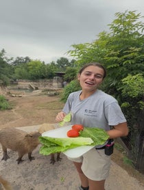 Poster for Pep Talk video from Capybaras At Houston Zoo