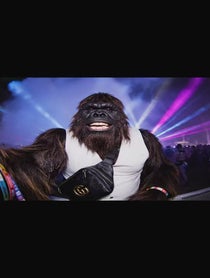 Poster for Birthday video from BigfootRaves