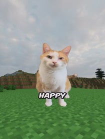 Poster for Valentine's Day video from chillcatguy
