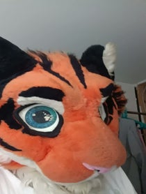 Poster for Birthday video from Jack Tiger