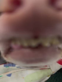 Poster for Valentine's Day video from Tuna Melts My Heart