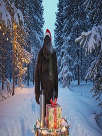 Poster for Holiday video from Bigfoot Vlog Time