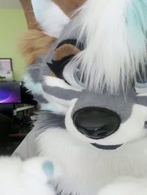 Poster for Birthday video from Zephyri Wolf
