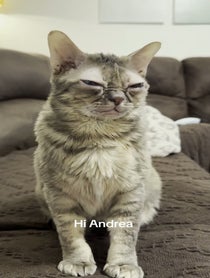 Poster for Birthday video from Gumbus